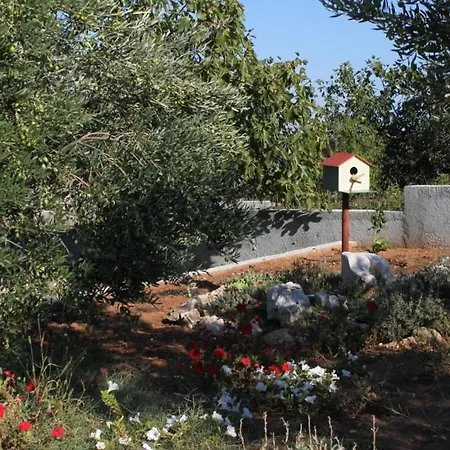 Family Friendly Seaside Nevidjane, Pasman - 8394 Neviđane